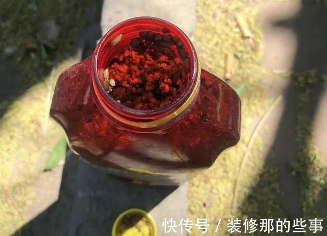 添加剂|酒米的颜色会影响鱼咬钩？实战告诉你什么样的酒米最招鱼