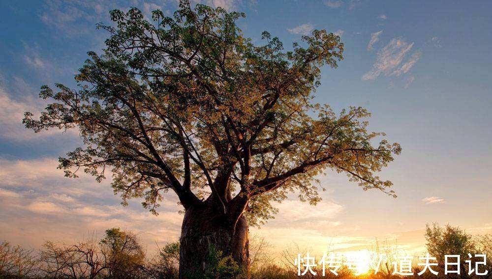 初秋行圃|这首杨万里的小诗,似信手拈来,质朴平实,又风情万种,独特新鲜