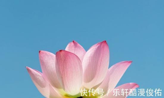 出纳官|步入10月，4属相吉星傍身，工作顺利，升职加薪，前程似锦