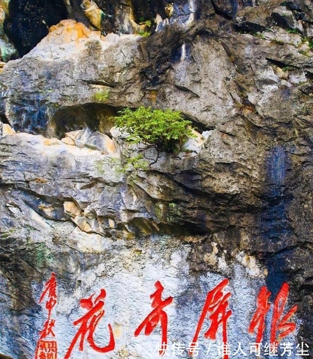 中国的“天下第一奇花”，有千年花龄，还能预测旱涝情况！