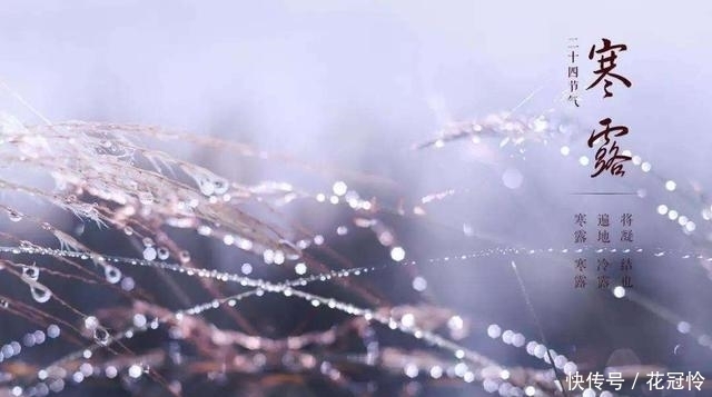 至,农谚寒露过三朝,迟早一齐标啥意思?