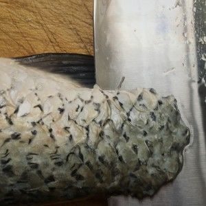 家常鱼肉菜谱，酸菜鱼，简单美味营养，满满一大盆，超级过瘾！