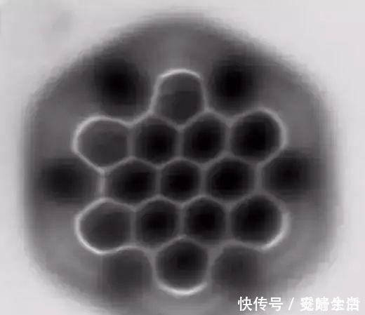 毛纳基 颠覆认知!看完这些图,你的世界观还好吗