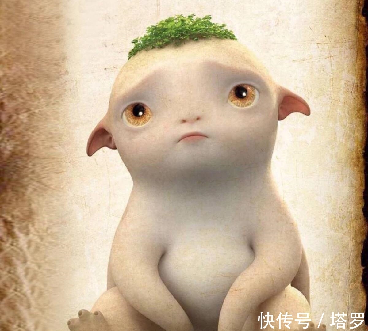 人参果树!《西游记》里的人参果到底是个什么东西?细究出来的真相太残酷了