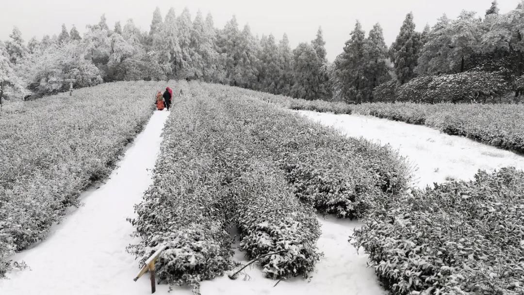 石梁美|一场初雪，天台石梁美成了画中仙~