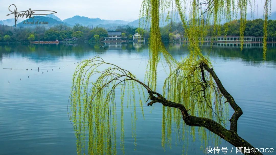 闲游雨后清晨的苏堤，感受“春眠不觉晓”的诗情画意