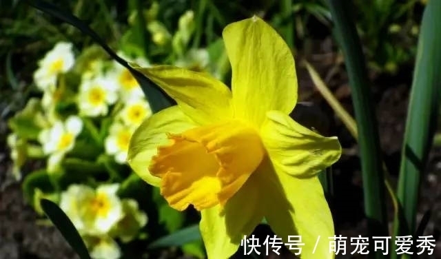 爱情|最快在下个月,缘分桃花非常妥协,爱情更加坚固的4大生肖!