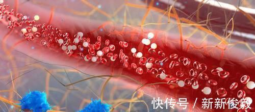 熏腊|隔夜菜真的会致癌么?剩饭剩菜还能不能再吃?本文为您讲清楚