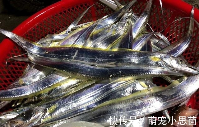 鱼郎|老伯夜晚海钓归来,一点都没掉漆的带鱼,你们肯定没见过吧?