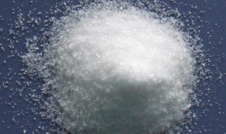 高温天气|养花施肥：高温天不小心此3点，根叶就会黑腐化水