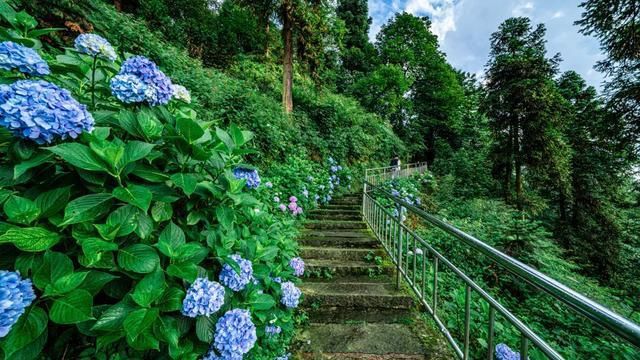 神秘感|峨眉山自带神秘感的云中寺院，有你不曾见过的美