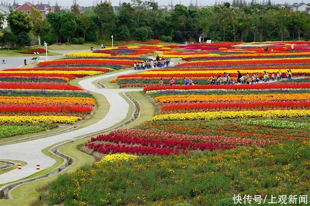 乡村|国家级“种草”！崇明2条线路入选全国乡村旅游学习体验线路