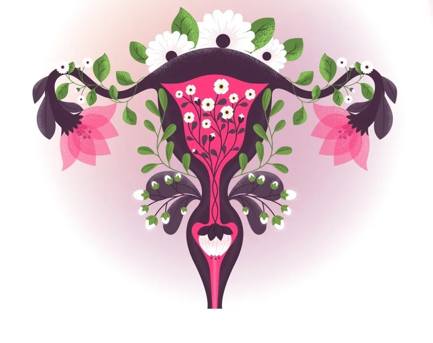 闭经|关于卵巢早衰，这几点你必须知道！