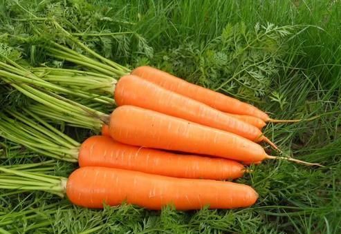 小米粥|胃不好不能吃“苦瓜”？医生提醒：若想养胃，这“4物”尽量远离