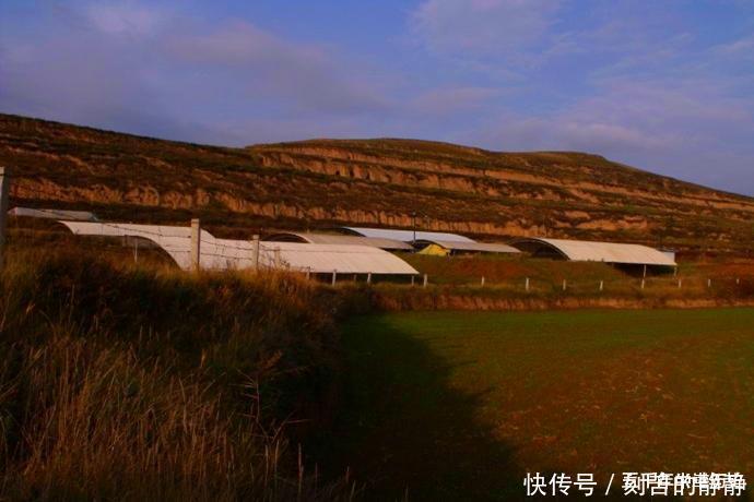 甘肃马家塬发现战国大墓,出土文物上万件,墓主也是“爱车一族”