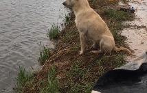 |搞笑GIF:花大价钱来看的表演 你们说我是不是被骗了