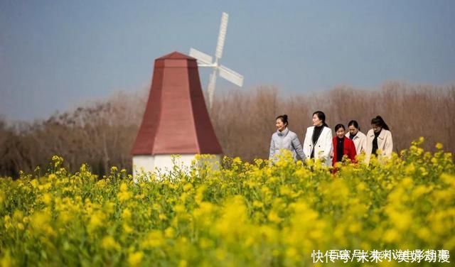 双龙湖湿地赏花、踏春