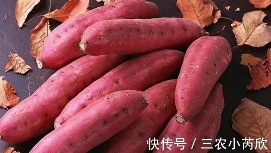 地窖|奶奶保存红薯的妙招,不用地窖也可以,放1年都不坏,还越来越甜