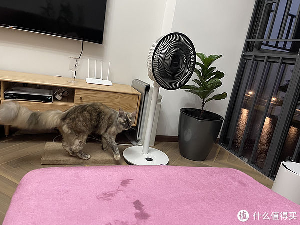 净味器|细盘家里值得买的好物——家居篇(内含踩坑物品)