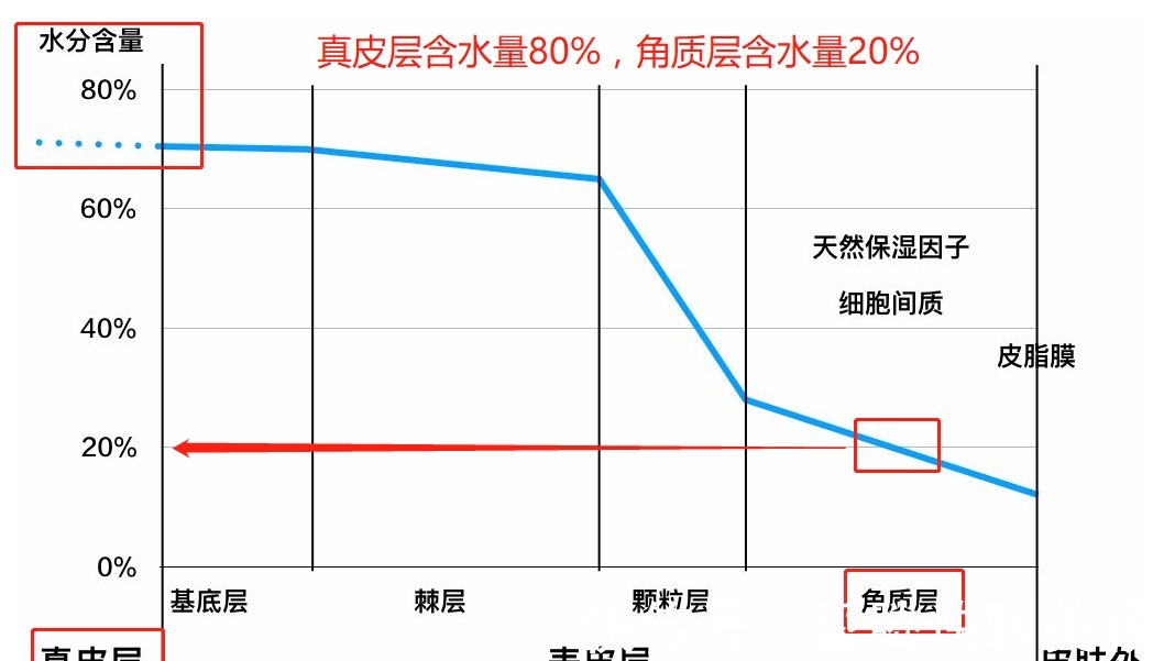 护肤|洗完脸后，护肤第一步，必须要用爽肤水吗？你不用爽肤水可以吗？