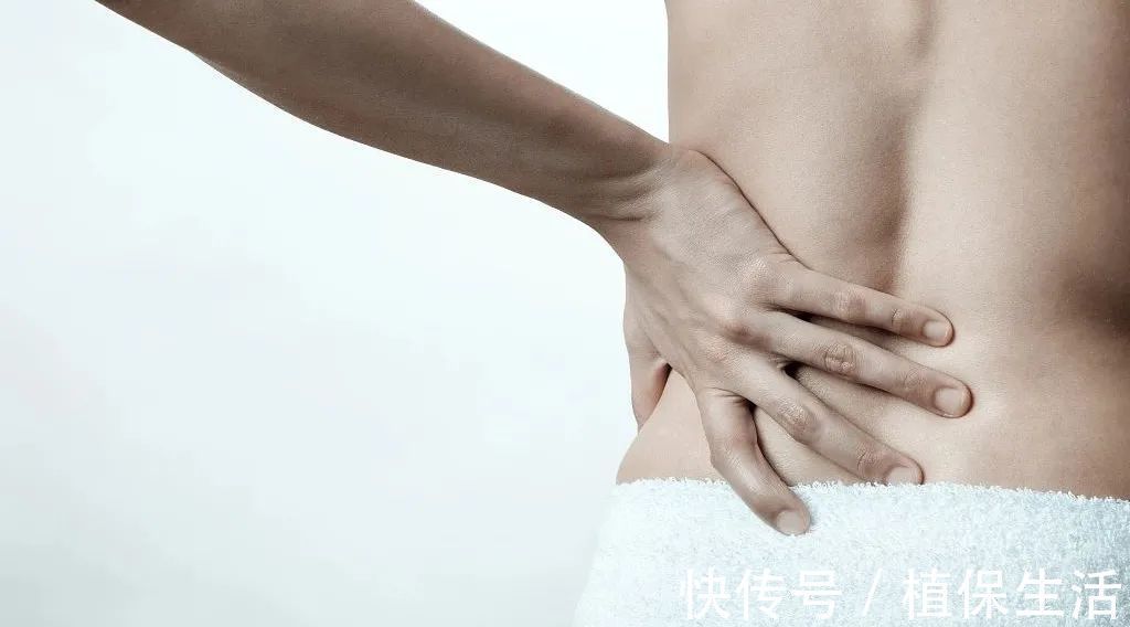 肋骨|打个喷嚏，腰就直不起来了！你为什么如此脆弱易折？