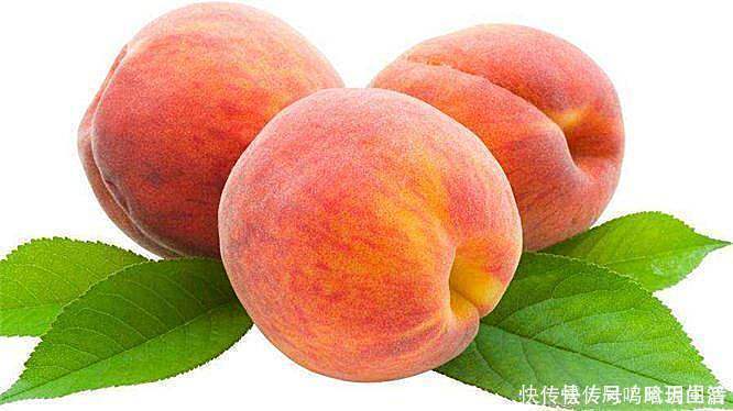 食物|越吃越年轻的食物,建议莫错过,降血压,降血脂,疏通血管