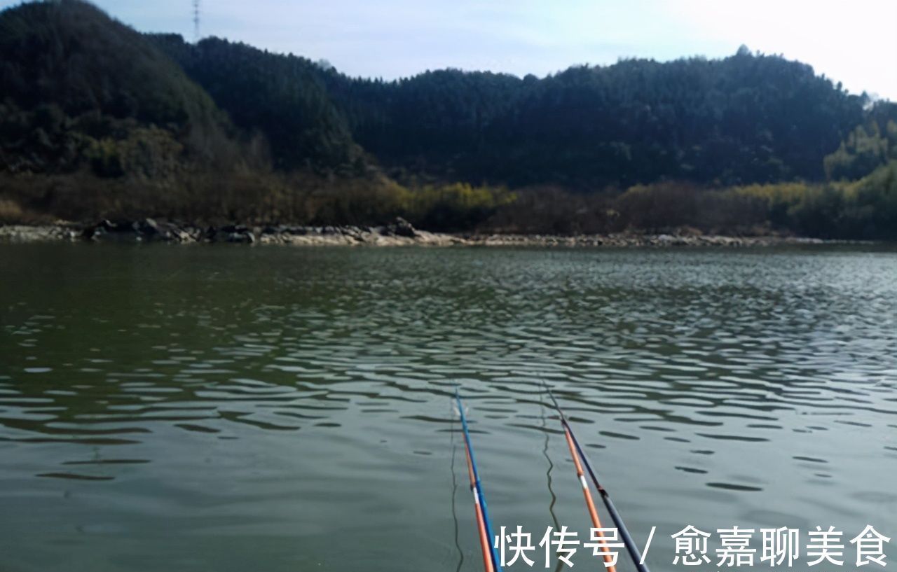 做法|河沟钓到“鲫鱼王”,足有七斤重,有人要买走,钓友做法让人钦佩