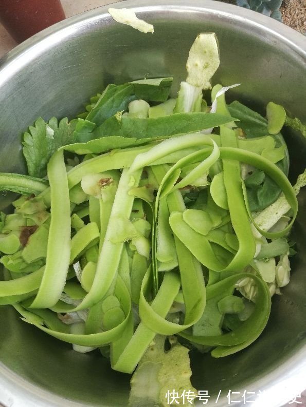 果皮|换盆之后的土,掺上一点“小东西”,土壤肥得流油