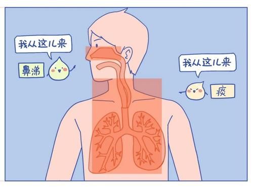 把痰咽回去，会不会对身体不好啊？