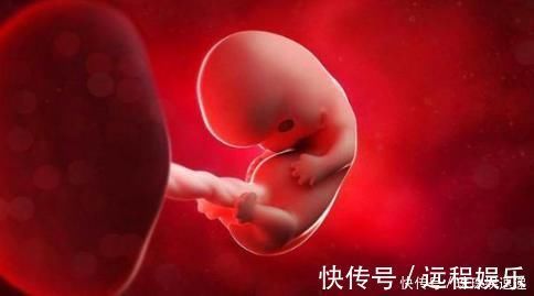 宝宝|孕早期,胎儿3个月都在忙些什么?看完心都被他萌酥了