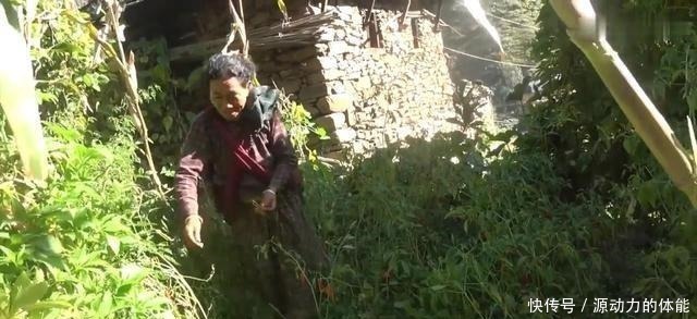 一个菜|尼泊尔农村酒席,非常简单,正餐只有一个菜,零食吃鸡肉