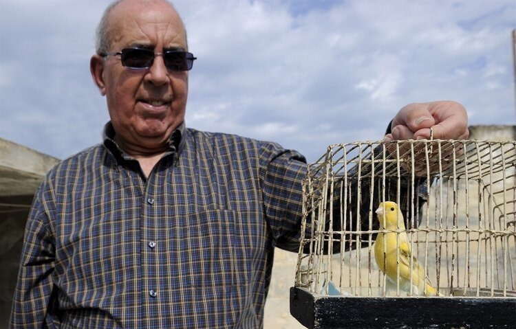 柏油路|每天坚持走路锻炼好吗?恭喜你,3种病被挡住了!