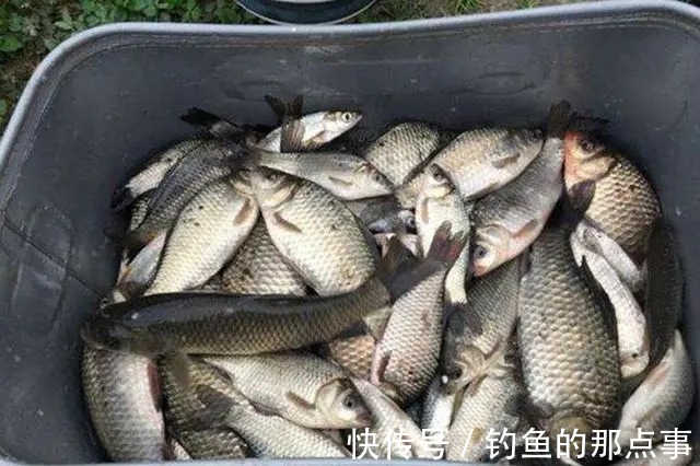 钓鱼|初春钓鱼,要知道“4钓、4不钓”,了解清楚,新手也能轻松爆护