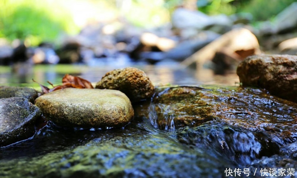 中年|深圳10大景观：梧桐山风景区