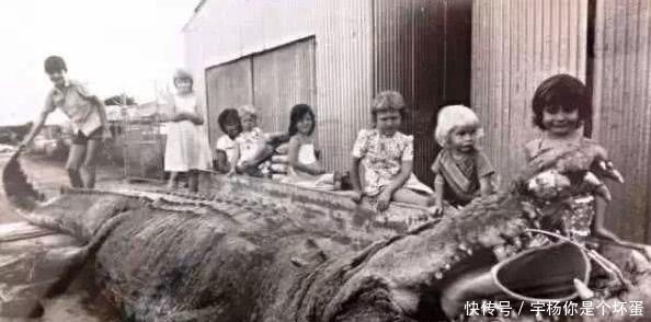 潜水服|一组罕见老照片,图2引无数男人回头,最后一张看了让人震撼!