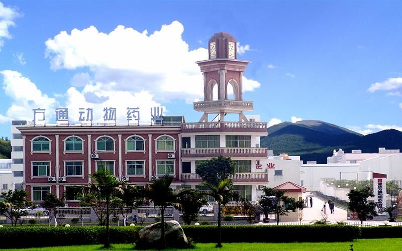 荣昌|推动制造业高质量发展丨工业总产值突破900亿元,看荣昌是如何做到的