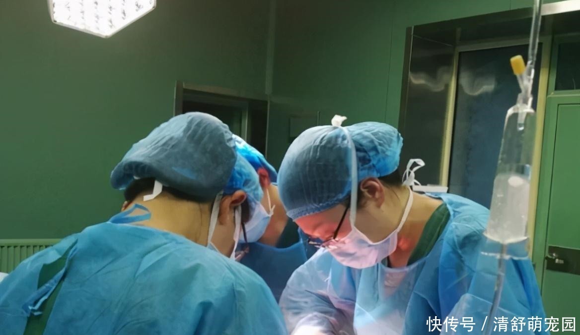 怀孕期间|7个月孕妇产检一切正常,临走时护士多问了一句,竟救下了母子俩