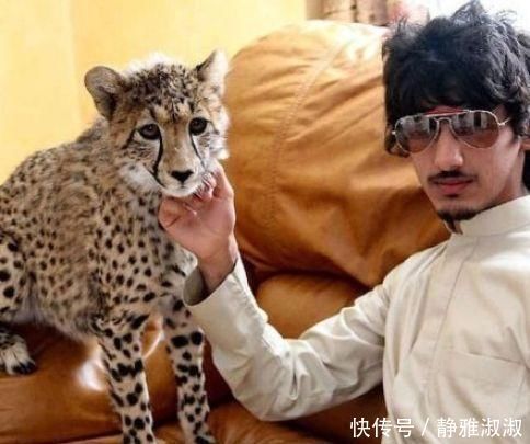 航天器 马斯克扩大领先优势第六批星链卫星升空,留给别人的机会不多了