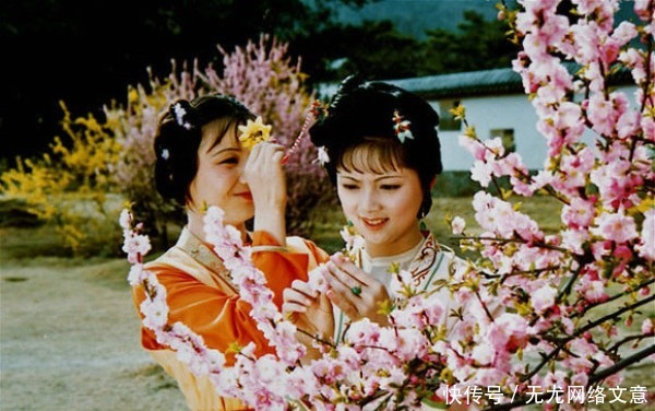 红楼梦|《红楼梦》里爱女红的薛宝钗还是一位博学多才的女子?