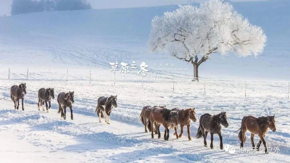 雪国系列·山川经典·自然探奇