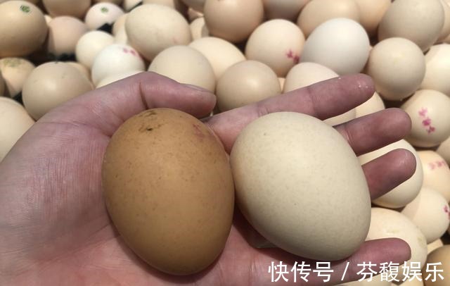 水煮鸡蛋,不用锅不用电,煮出的鸡蛋老嫩适中,真是高手再民间