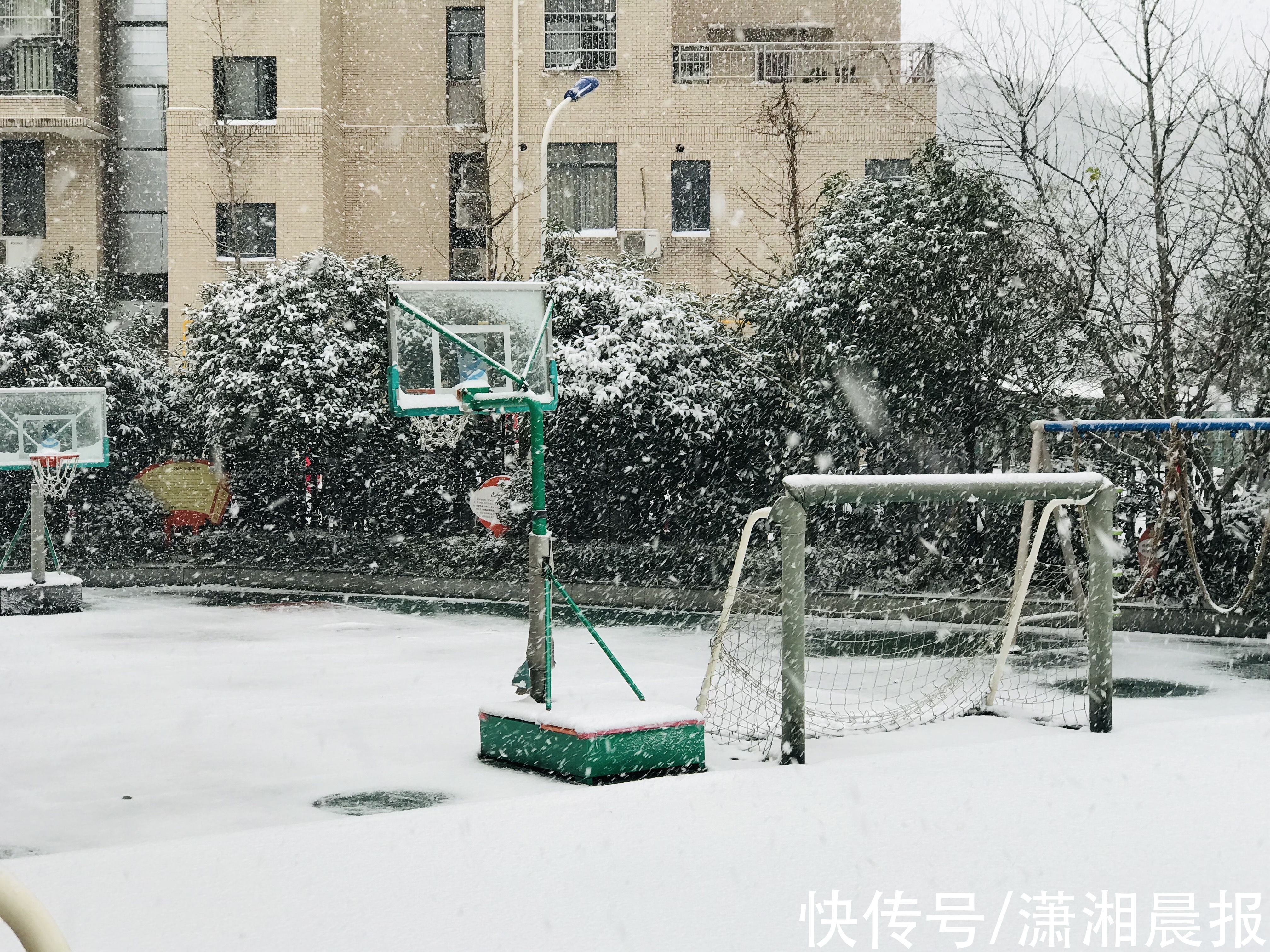 长沙|长沙初雪自带美颜滤镜，校园里“千树万树梨花开”