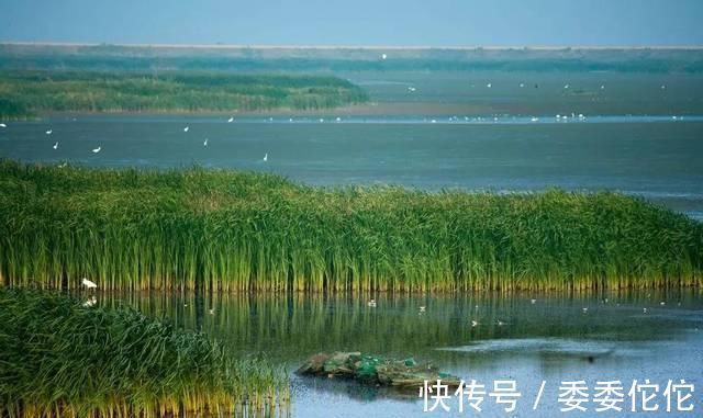 海门市|中国第三大岛，每年都在扩大，岛上分属“两省三县”管辖