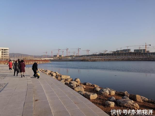 悬念|文章贵曲不贵直