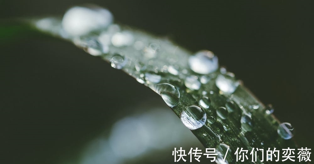 马戴&晚唐一诗人落榜后蜗居郊区,一首诗写尽落寞之感,颔联成千古名句