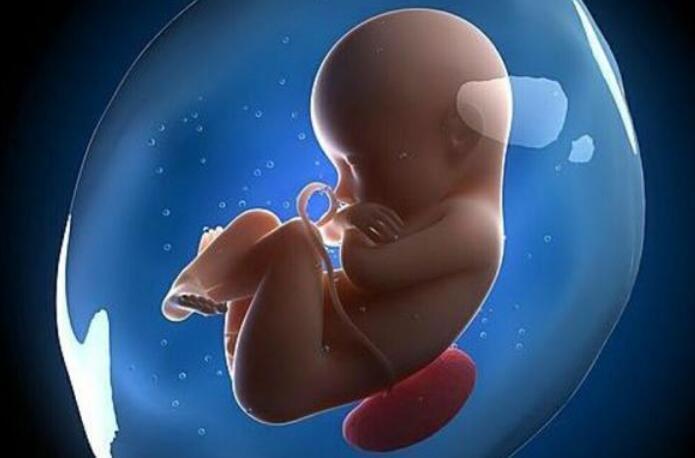 叮麻|孕妇孕期这些表现，是胎儿“高智商”的信号，赢在娘胎没问题