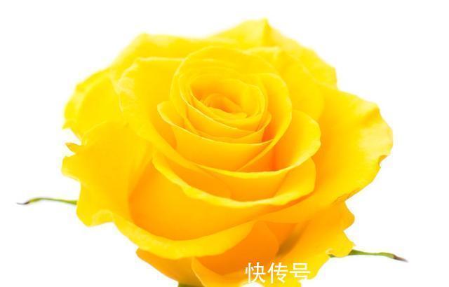 桃花|在12月下旬，桃花灼灼，与真爱相依的四大星座，收获幸福！