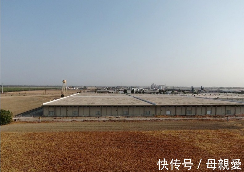做空|上市78天,贾跃亭的FF遭做空