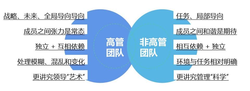 高管团队=企业实力？教育集团如何锻造核心“铁骑统领”