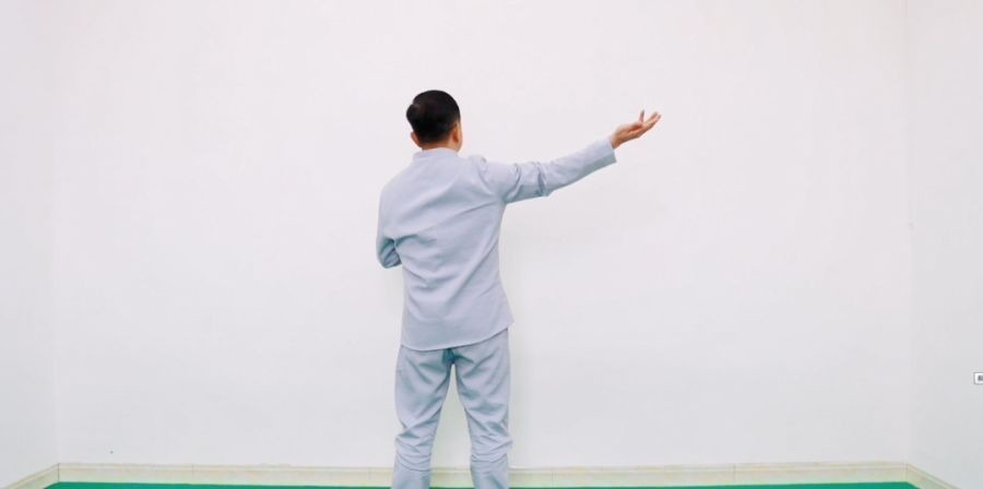 经络|易筋甩手十二式，每天早晚各一遍，甩通全身经络，轻松远离亚健康